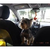 Andrey Grehov's photo
