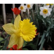 Mary Wisniewski's photo