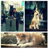 Matthew de Guzman's photo