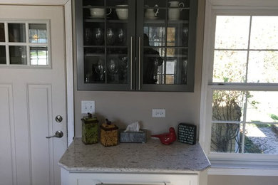 Transitional home design photo in Chicago