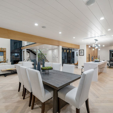Modern Kitchen Remodel