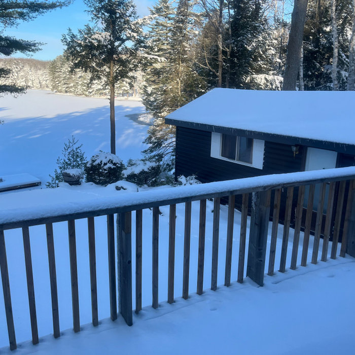 Cottage in Winter
