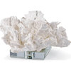 Flower Coral On Crystal Base, White