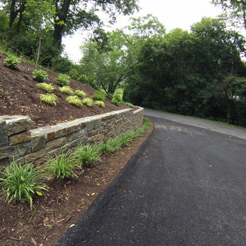 Driveway Entrance Landscape Renovation