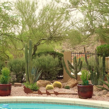 Az Landscape