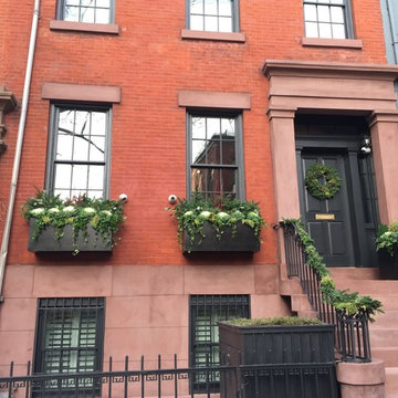 Brooklyn Heights Winter Evergreens