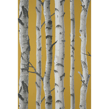 Chester Mustard Birch Trees Wallpaper Sample