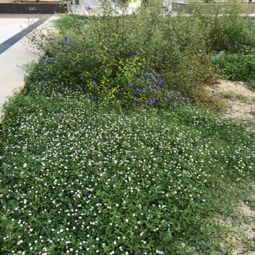 giardino contemporaneo a basso impatto ambientale