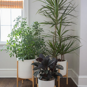 My Houzz: A Couple’s Fresh Start in Kansas City