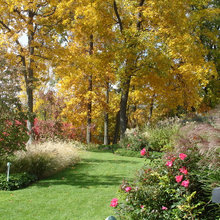 Master patio landscaping