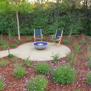 West Los Angeles Lawn Removal Makeover