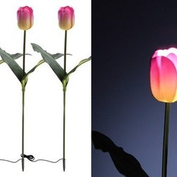 in China - Solar garden light - Lighting