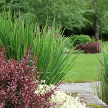 Rauhaus Landscaping