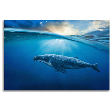 Dreamy Blue Whale Ocean Sunset Glory Rays Wildlife Photo Canvas Wall Art Print, 16" X 20"