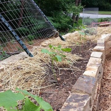 Rock Raised Veggie Garden Bed
