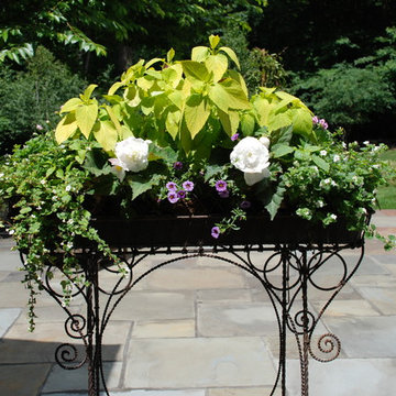 Iron Planters Add Victorian Elegance and Grace