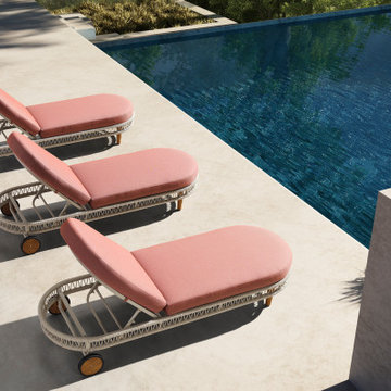 2024 new release - The VASCA collection
