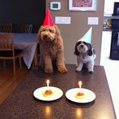 Karen Osterer's photo