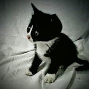 Marida Ragno's photo