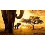 Debby Ensz's photo