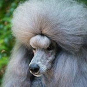 Diane Schoenrock's photo