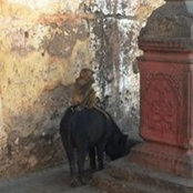 Bernie Dickman's photo