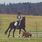 Charlee Wilson's photo