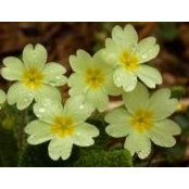 Eileen Murphy's photo