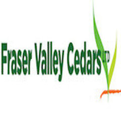 Fraser Valley Cedars