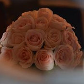 Nadia Farjallah's photo