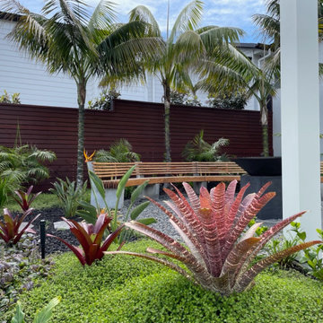 Kohimarama garden establishing