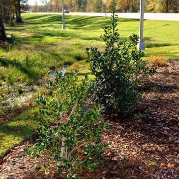 Augusta Regional Airport Landscape Renovation