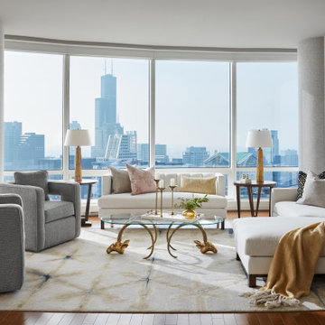 Downtown Chicago Residence