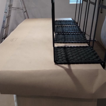 Mold Remediation Projects