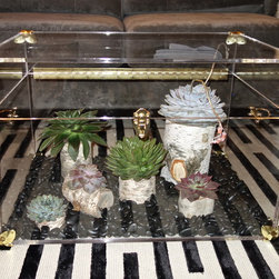 The Lucite Trunk - Brass accent - Decorative Trunks