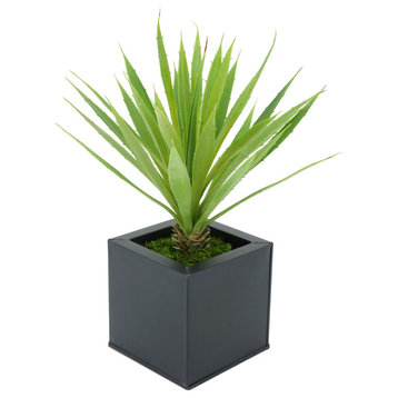 Faux Baby Yucca in Square Zinc Pot, Black