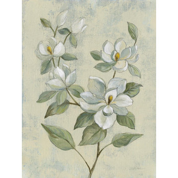 "Sage Magnolia" Fine Art Giant Canvas print 72"x54"