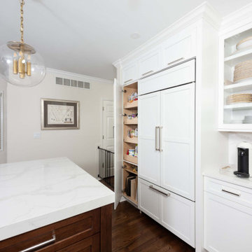 Roscoe Village Kitchen Remodel