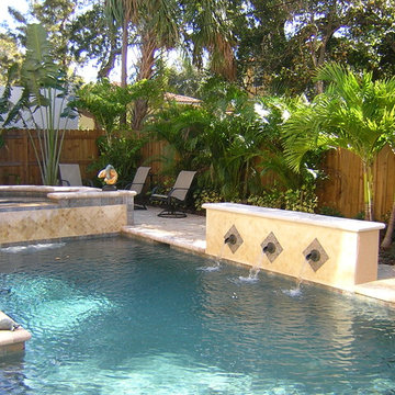 Tampa Florida Transitional Poo Spa Outdoor Living