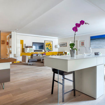 Grand Appartement Parisien Lumineux
