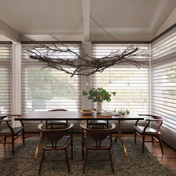 Hunter Douglas Silhouette Shades