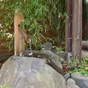 Madison Park Landscape Renovation