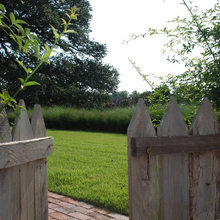 Landscape Ideas