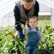 Gardening