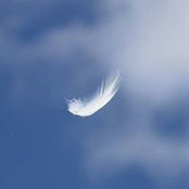 Gregui Stako's photo