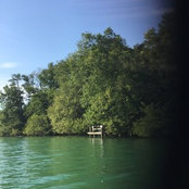 askanina's photo
