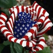 Randi Howery Solomon's photo