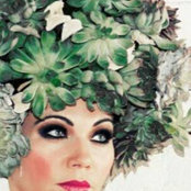Foto de Boston's Couture
