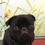 Charles Cohen's photo