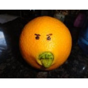 Sam Talmage's photo